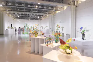 Kanaz Forest of Creation