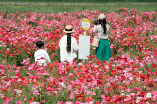 Kasaoka Bay Farm Flower Garden