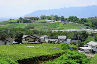 Katsunuma Budou no Oka