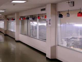 Shingen Mochi Factory Theme Park