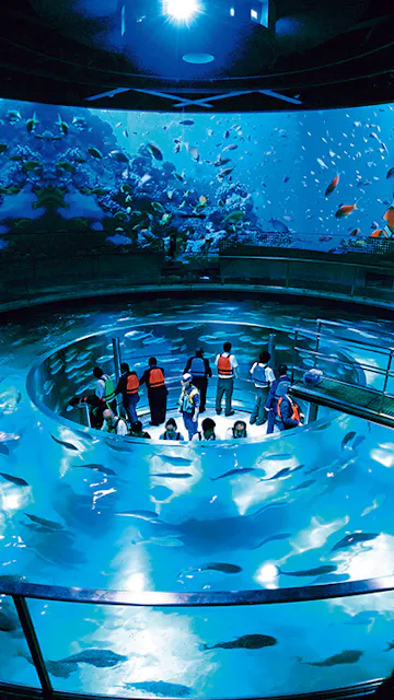 Kinosaki Marine World