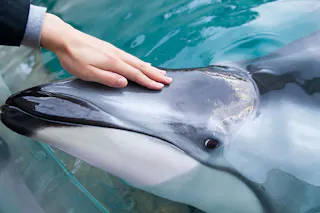 Kinosaki Marine World