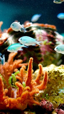 Kinosaki Marine World