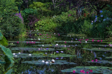 Kitagawa Village “Monet’s Garden” Marmottan