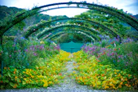 Kitagawa Village “Monet’s Garden” Marmottan