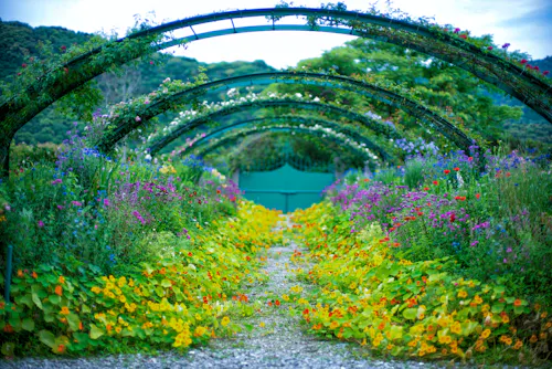 Kitagawa Village “Monet’s Garden” Marmottan