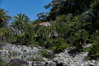 Kitagawa Village “Monet’s Garden” Marmottan