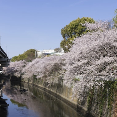 Edogawa Park Edogawa Park