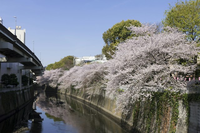 Edogawa Park in Tokyo: Highlights, Access & Tips - Trip To Japan
