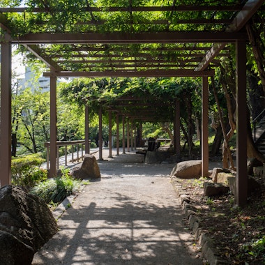 Edogawa Park Edogawa Park