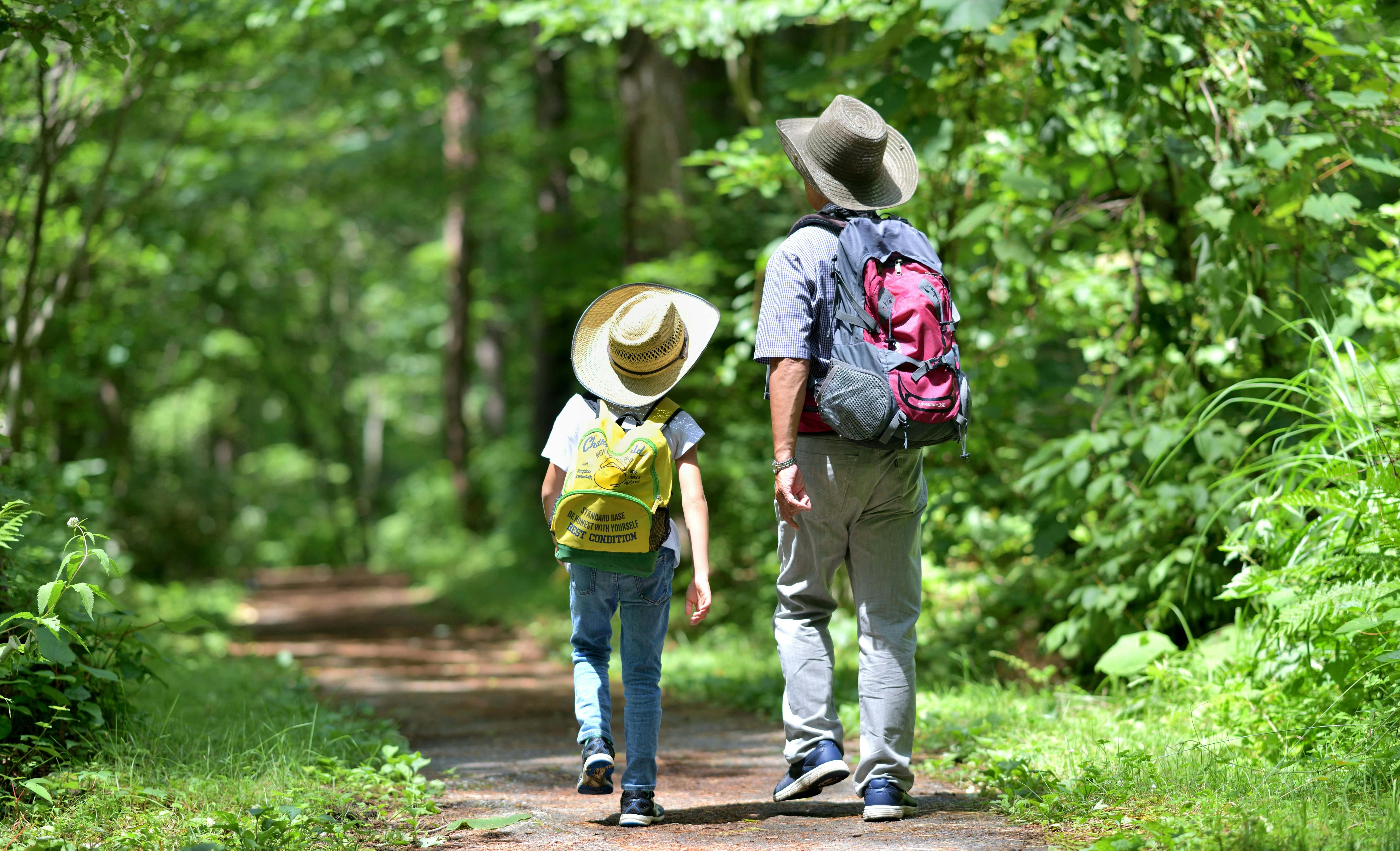 Usuzan Volcano Hiking Tour