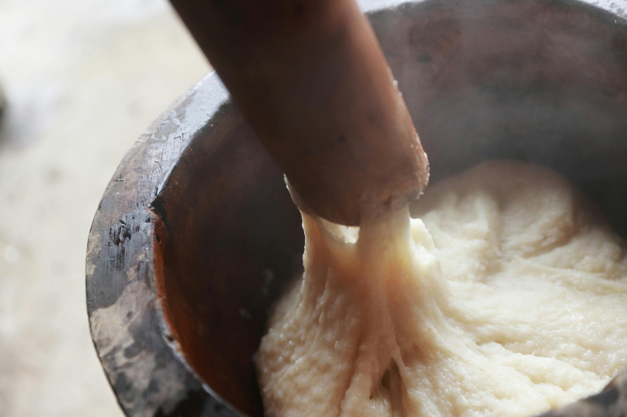 도쿄 다쓰나미 스모 도장에서 요코즈나와 함께하는 연말 한정 떡치기