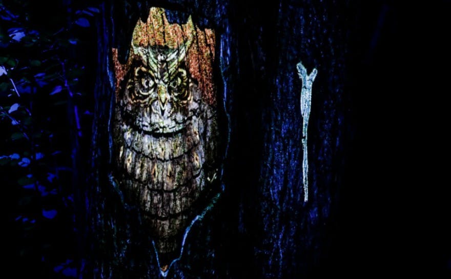 Lake Akan Forest Night Walk KAMUY LUMINA