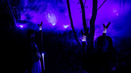 Lake Akan Forest Night Walk KAMUY LUMINA