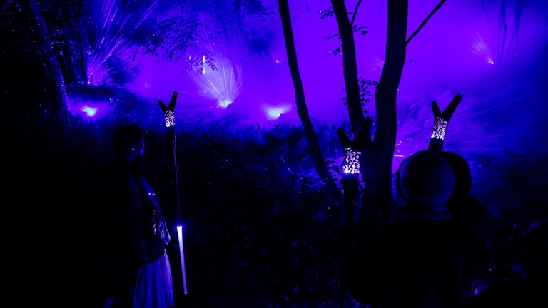 Lake Akan Forest Night Walk KAMUY LUMINA