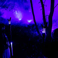 Lake Akan Forest Night Walk KAMUY LUMINA Lake Akan Forest Night Walk KAMUY LUMINA