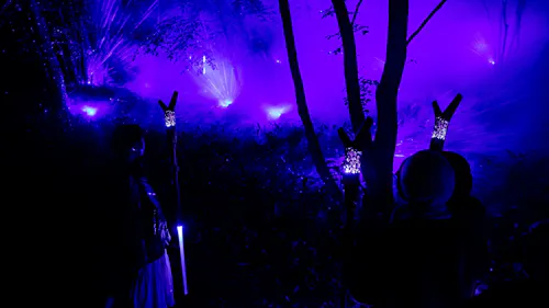 Lake Akan Forest Night Walk KAMUY LUMINA