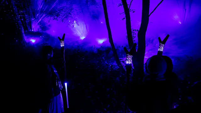 Lake Akan Forest Night Walk KAMUY LUMINA