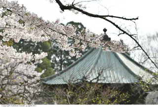Mito Castle Sannomaru Mito Clan School Kodokan