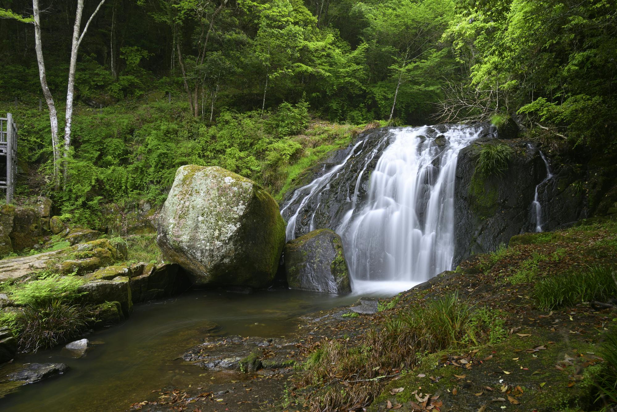 Narutaki Forest Park