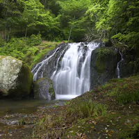 Narutaki Forest Park Narutaki Forest Park