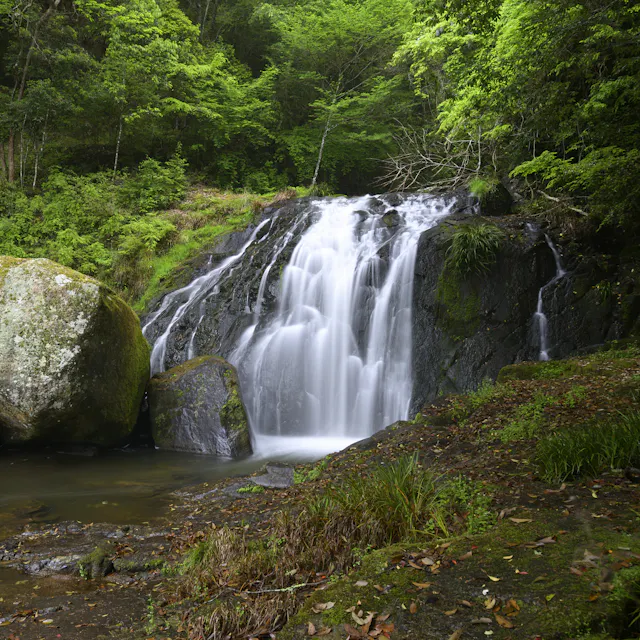 Narutaki Forest Park Narutaki Forest Park