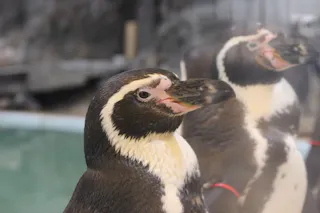 New Yashima Aquarium