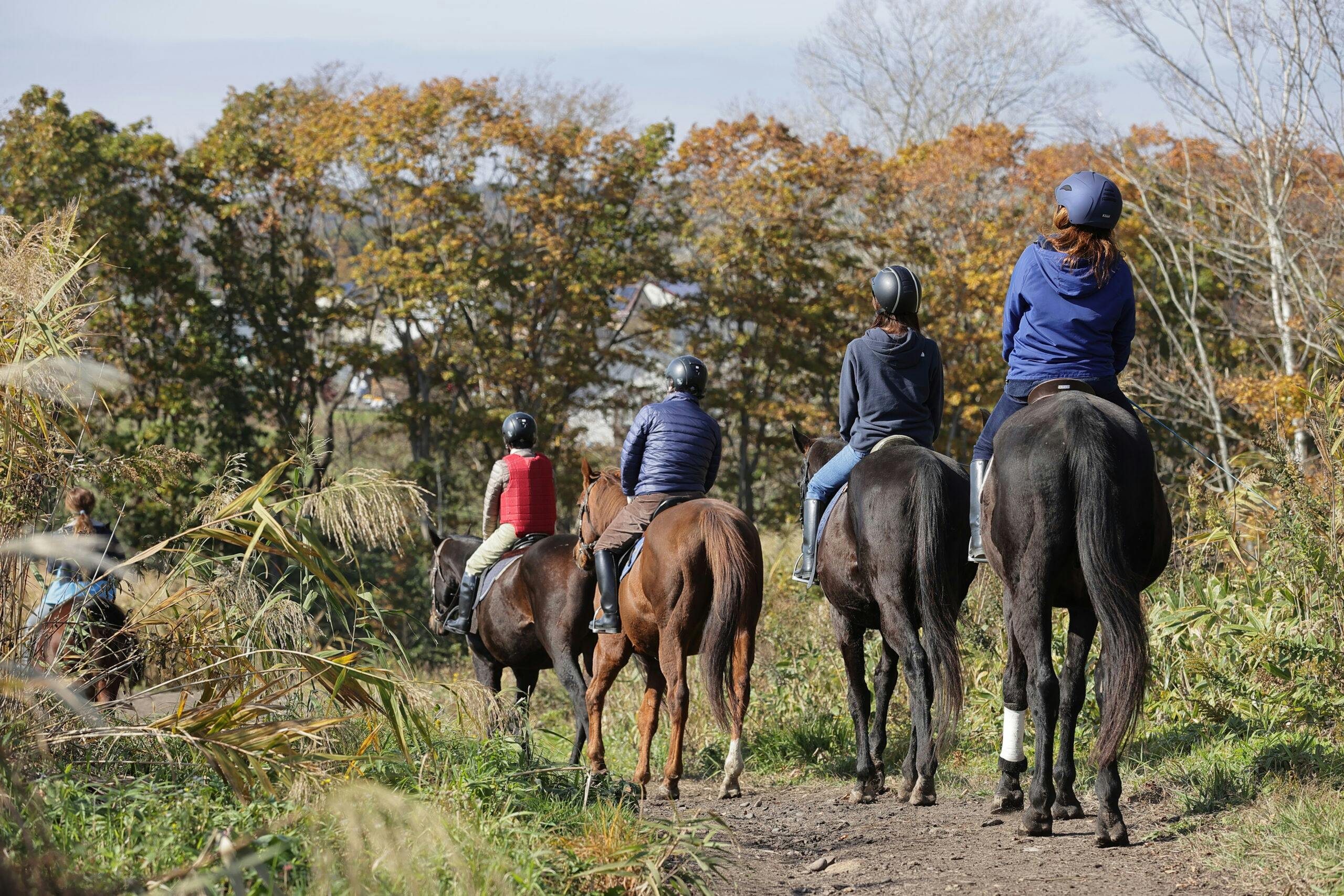 Niikappu Horoshiri Riding Club