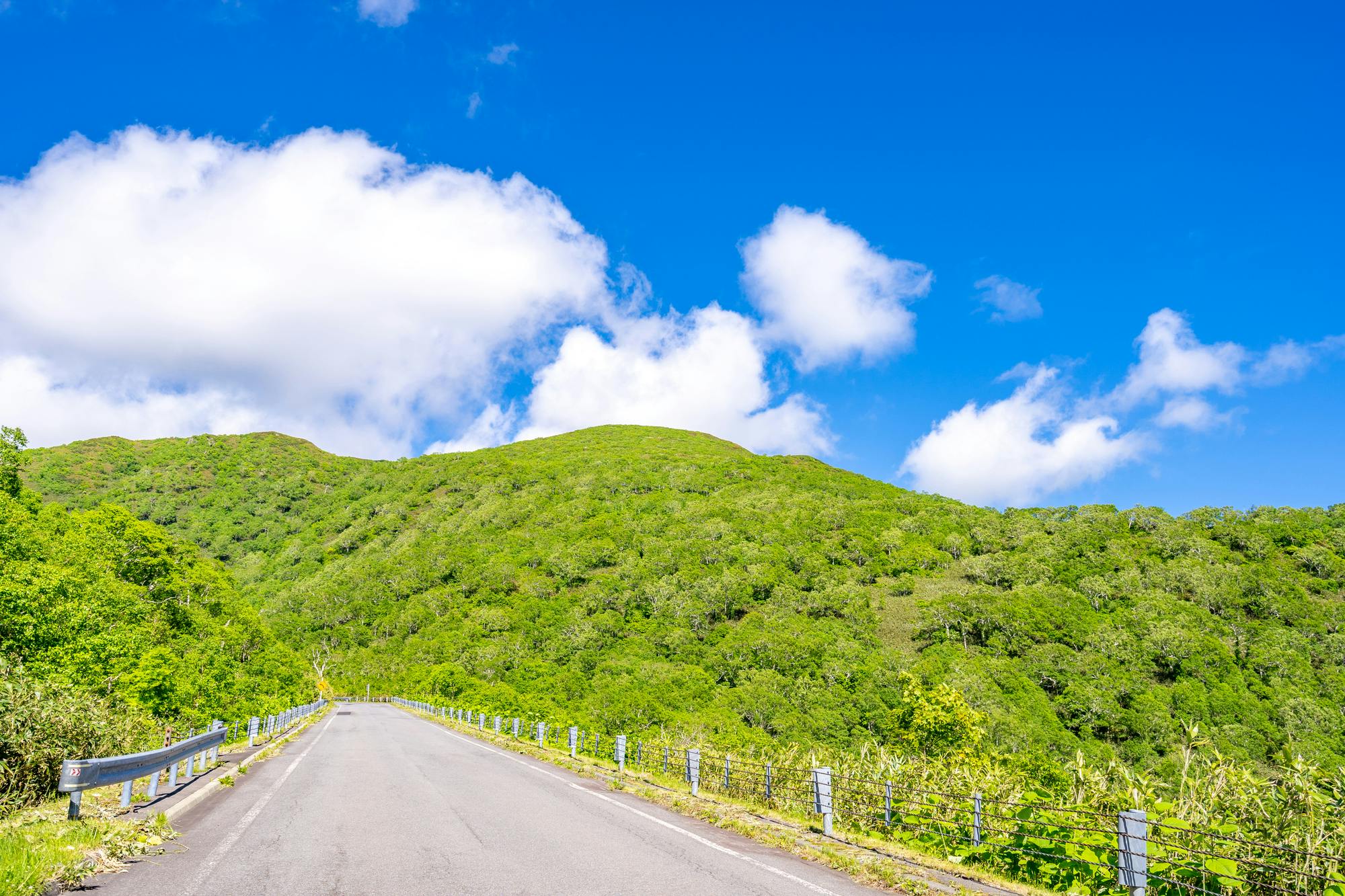 Niseko Panorama Line