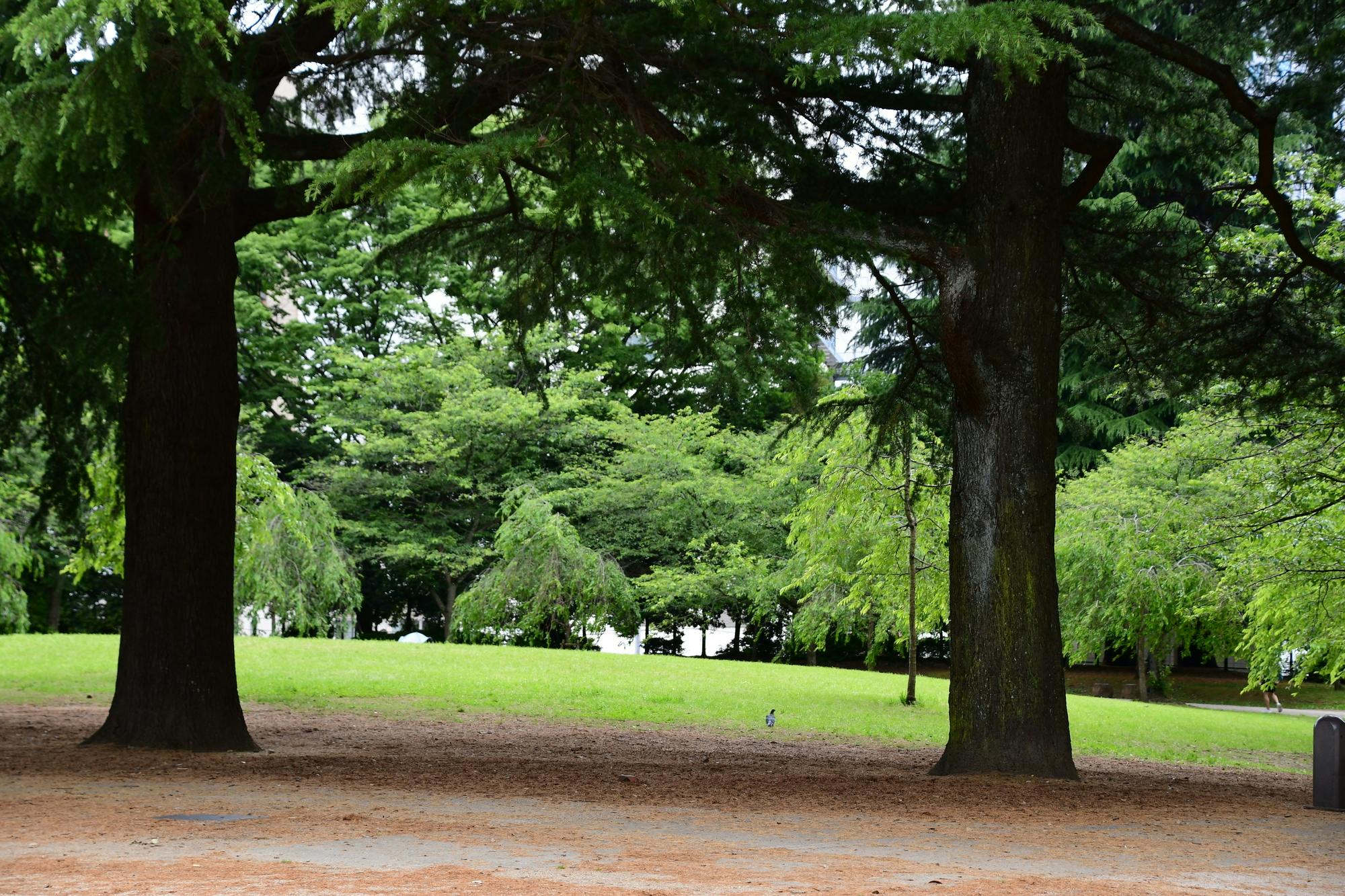 Nishikicho Park, Miyagi