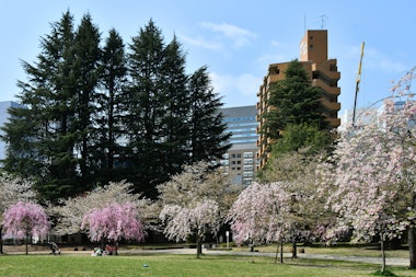 Nishikicho Park, Miyagi