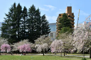 Nishikicho Park, Miyagi