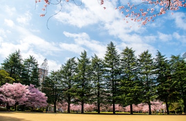 Nishikicho Park, Miyagi