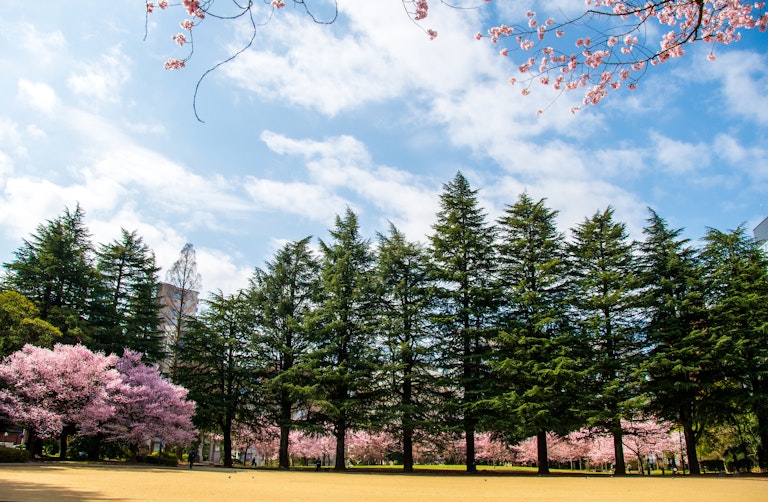 Nishikicho Park, Miyagi