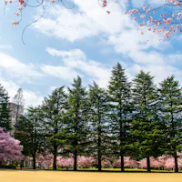 Nishikicho Park, Miyagi Nishikicho Park, Miyagi