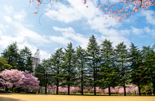 Nishikicho Park, Miyagi
