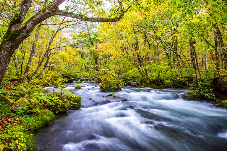 Oirase Gorge