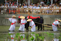 Okayama Korakuen Rice Planting Festival