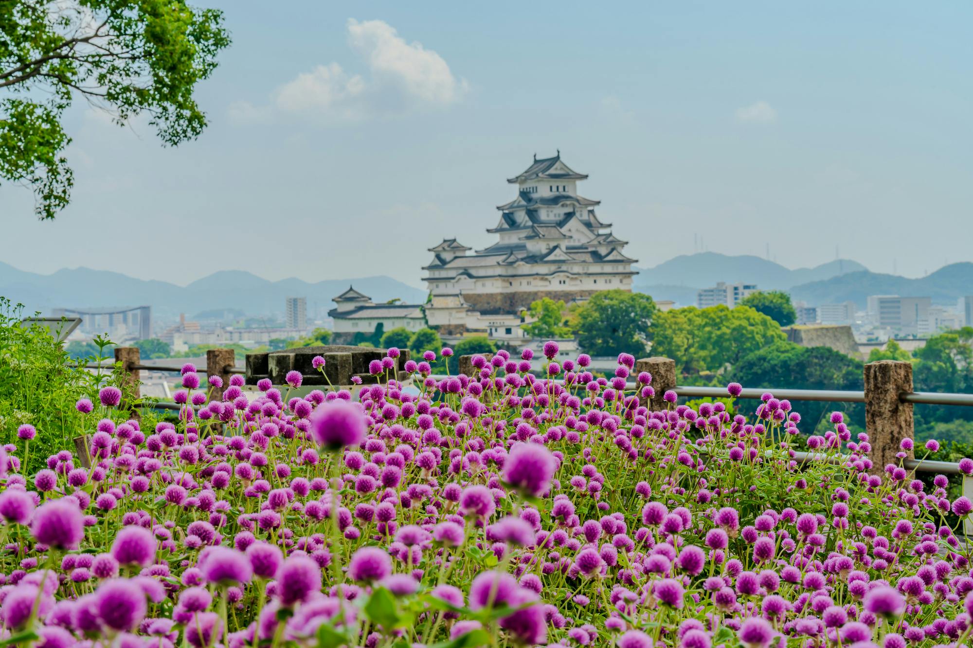 Otokoyama Haisuiike Park