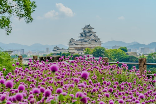 Otokoyama Haisuiike Park