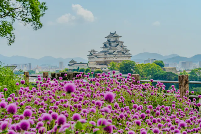 Otokoyama Haisuiike Park