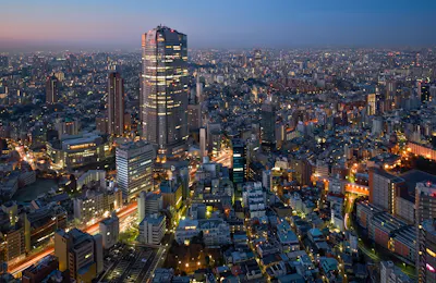 Roppongi Hills Tokyo City View