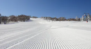 Sapporo Kokusai Ski Resort