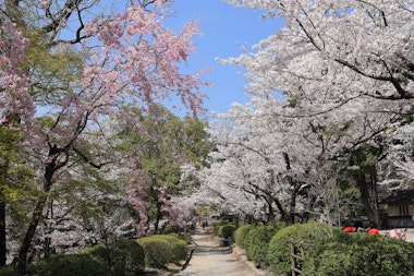 Satsukiyama Park