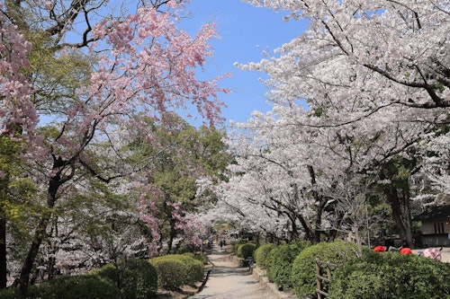 Satsukiyama Park