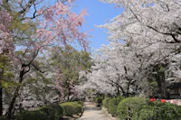 Satsukiyama Park