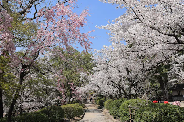 Satsukiyama Park