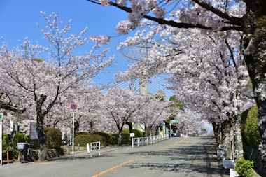 Satsukiyama Park