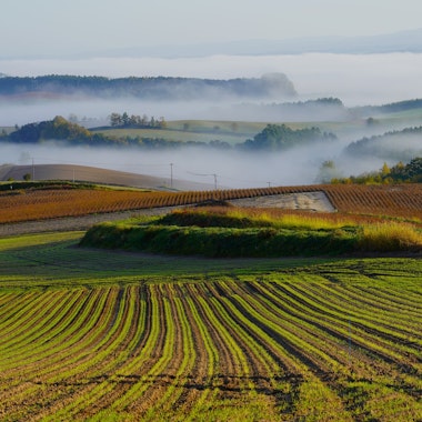 Senbo Pass (Kamifurano Hakkei) Senbo Pass (Kamifurano Hakkei)