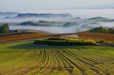 Senbo Pass (Kamifurano Hakkei)
